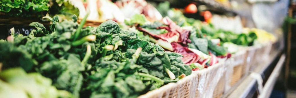 Food Systems Equality banner