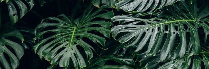 pdu1313's profile banner image
