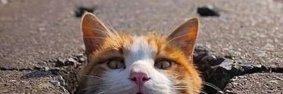 ItsMrE_'s profile banner image