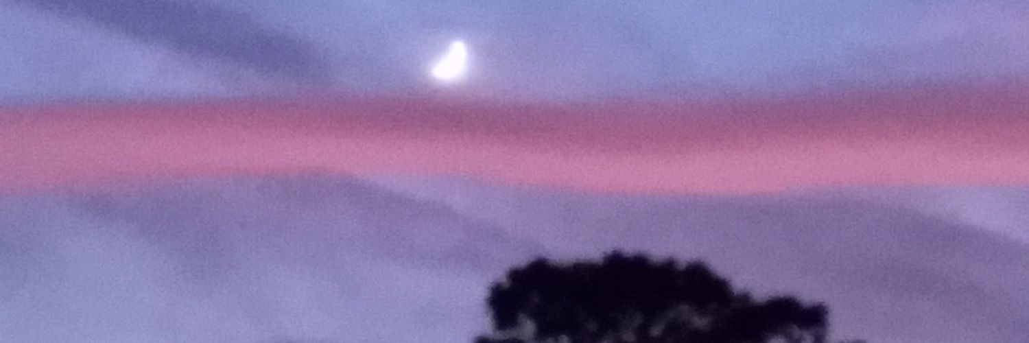 blafpw3's profile banner image