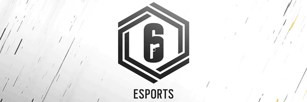 ViN Michi banner