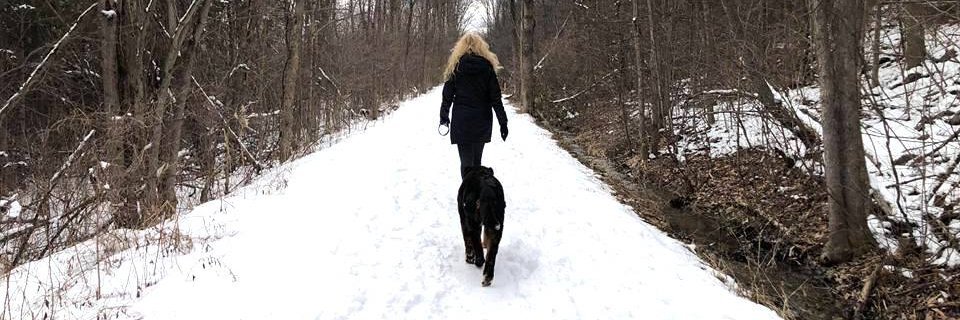 vanessaAISI's profile banner image