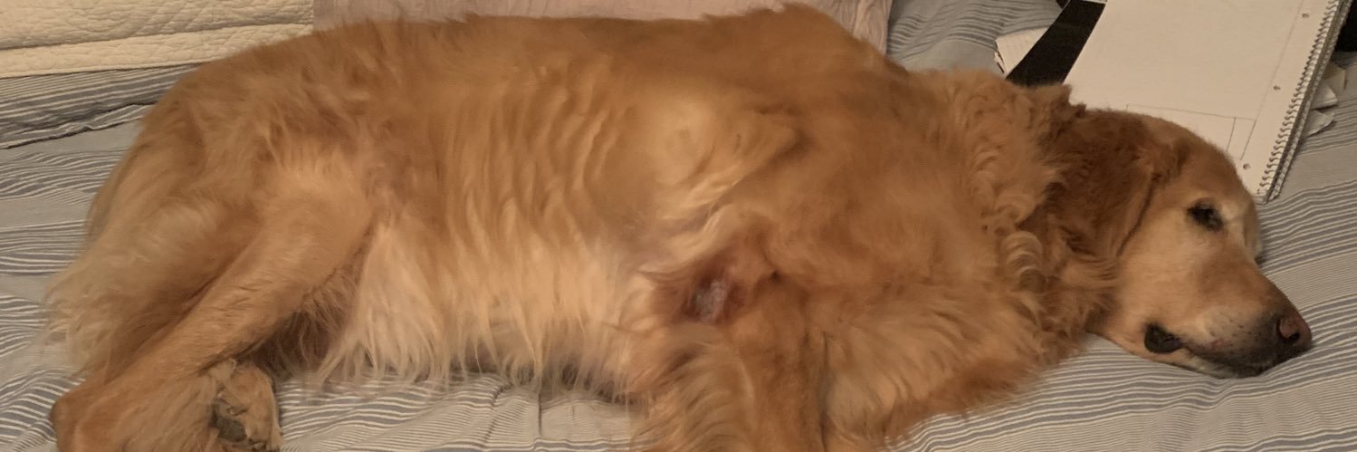 OliverFrench71's profile banner image
