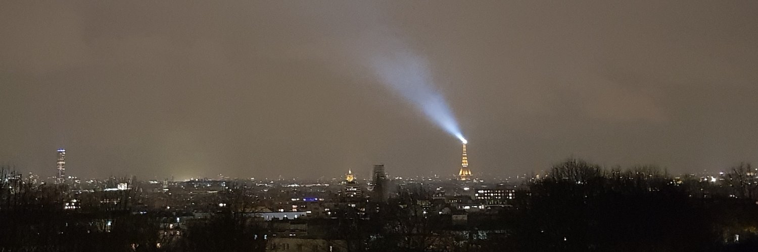 Bruno Belhoste banner