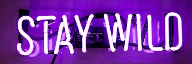Amy Castles banner
