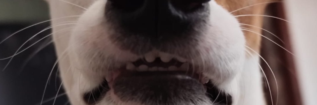 vanzelap's profile banner image
