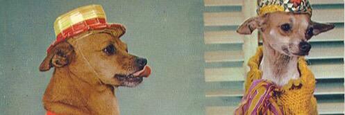 EveryWordDog's profile banner image