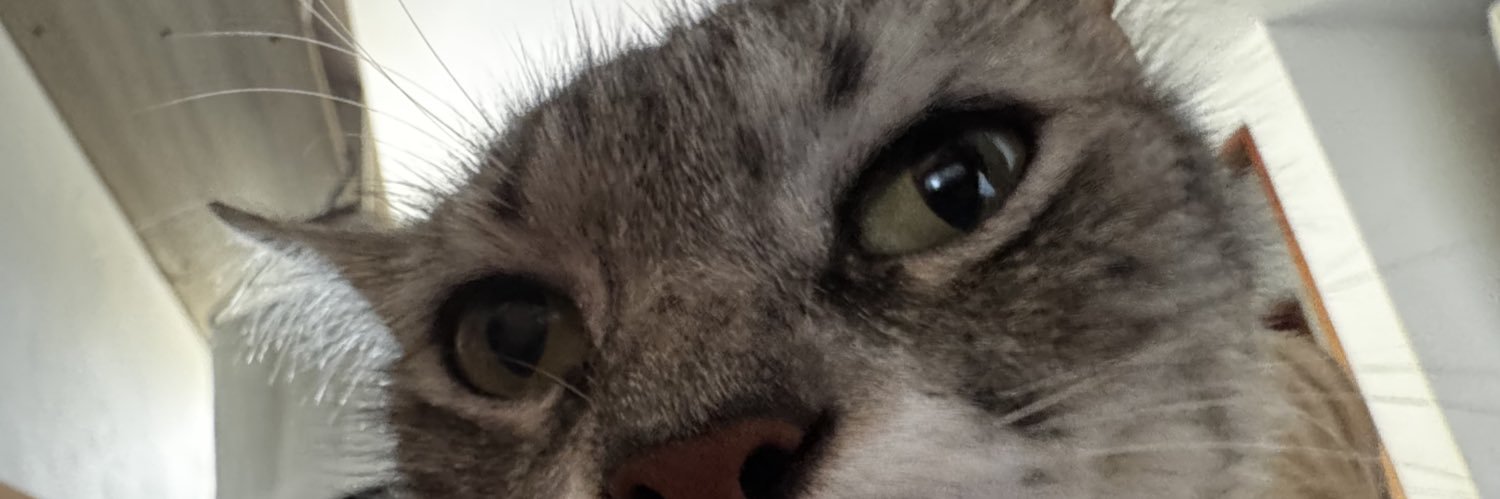 srsantis_'s profile banner image