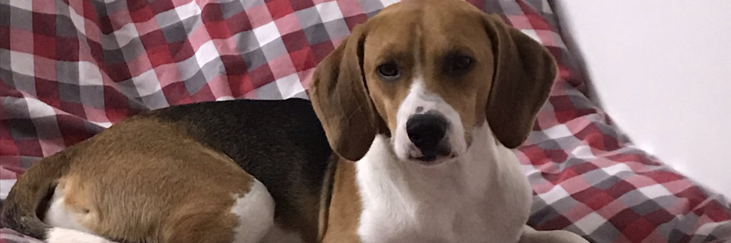 Cluurr27's profile banner image
