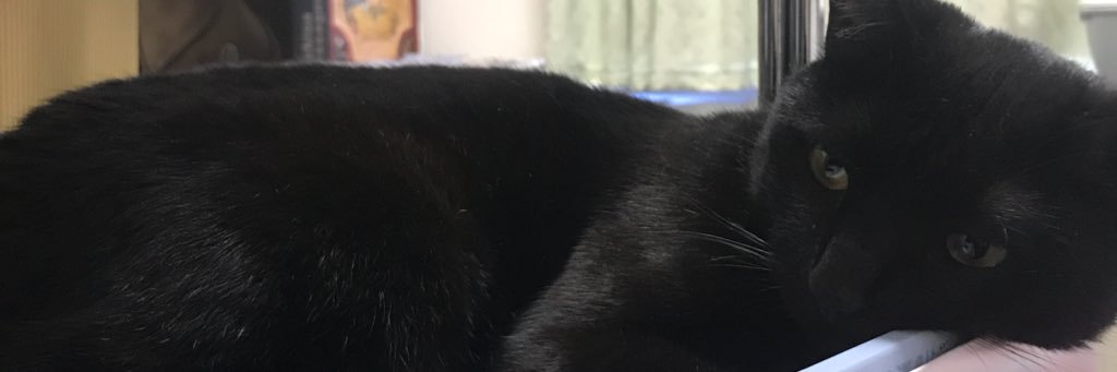 kuroneko_b's profile banner image