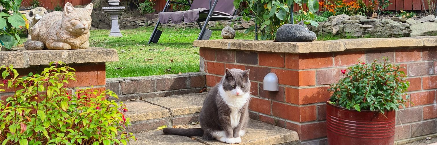 Jeff Burtle🇬🇧🏴󠁧󠁢󠁥󠁮󠁧󠁿🇺🇲🇮🇱 banner