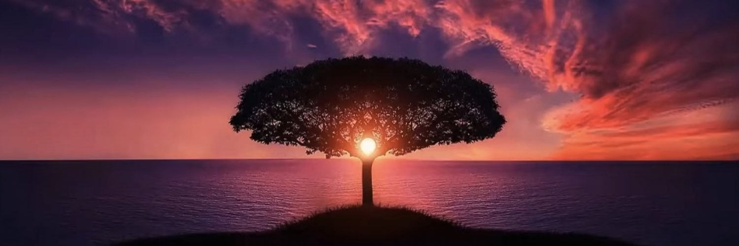 Equity investor banner