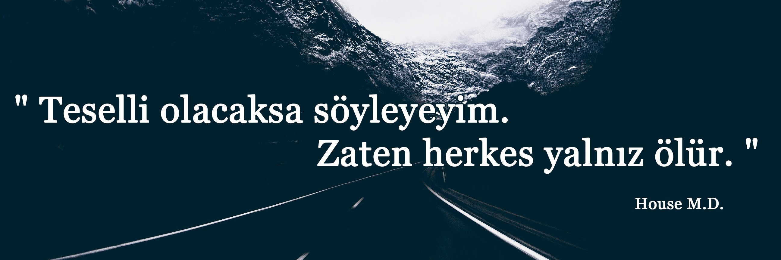 Bezgin Dervis banner