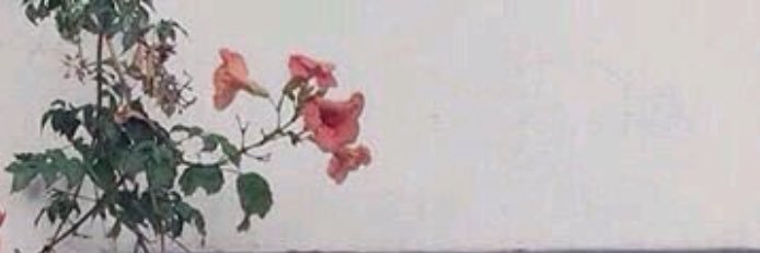 _iiwn4's profile banner image