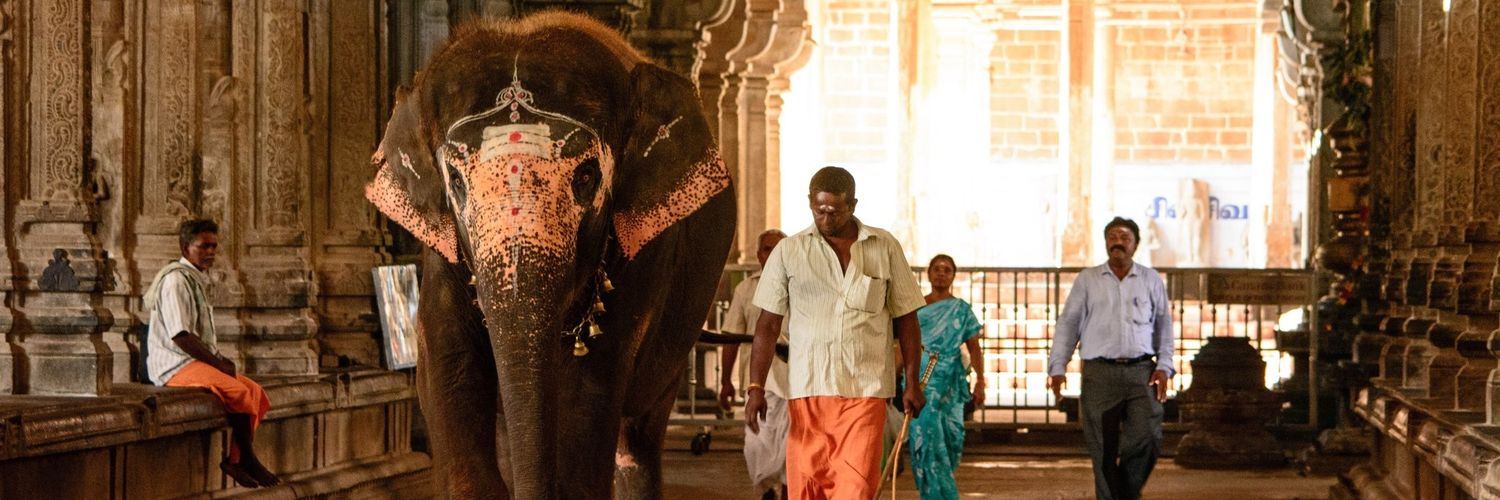 raamsankar's profile banner image