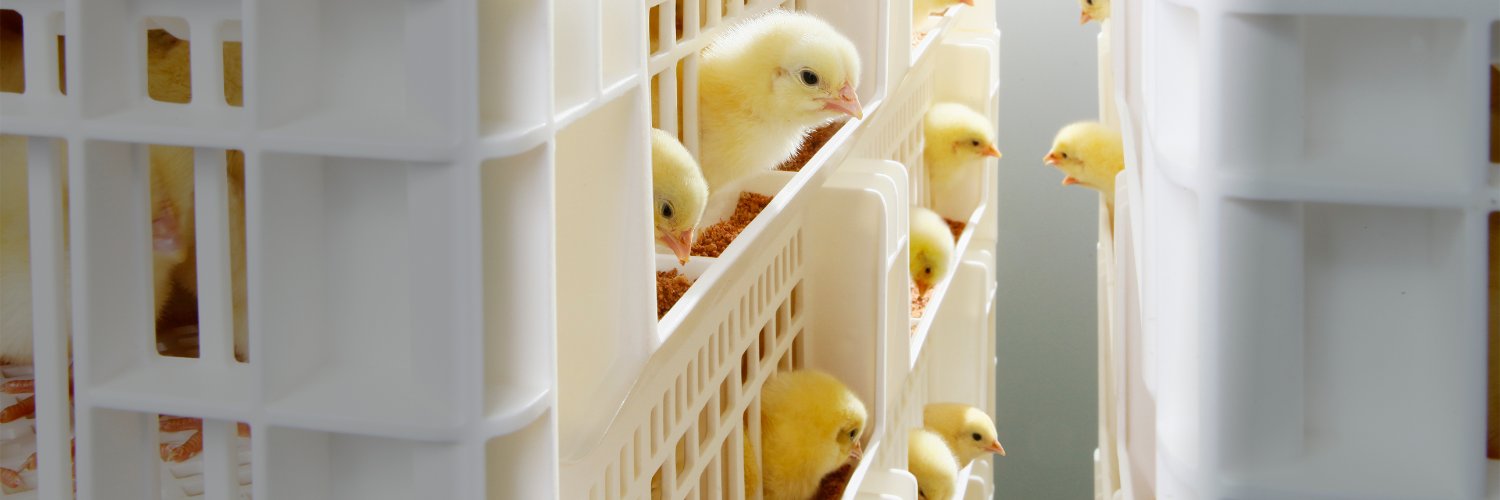 Royal Pas Reform banner