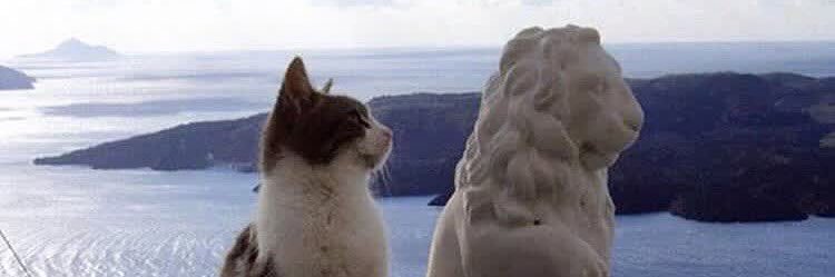MattyNorris1's profile banner image
