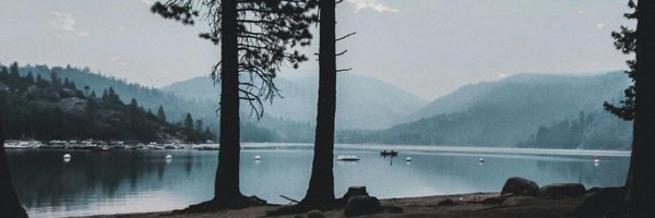 ForestBite Profile Banner