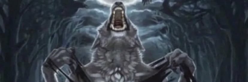 fachesyy's profile banner image