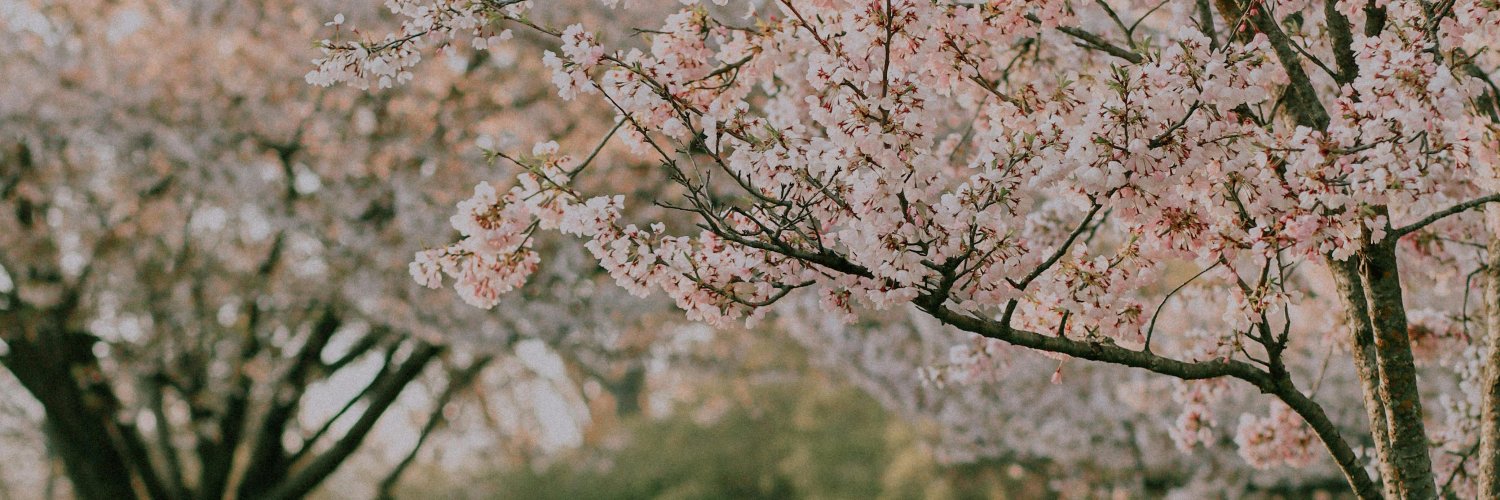 Mack || $3 Fansly banner