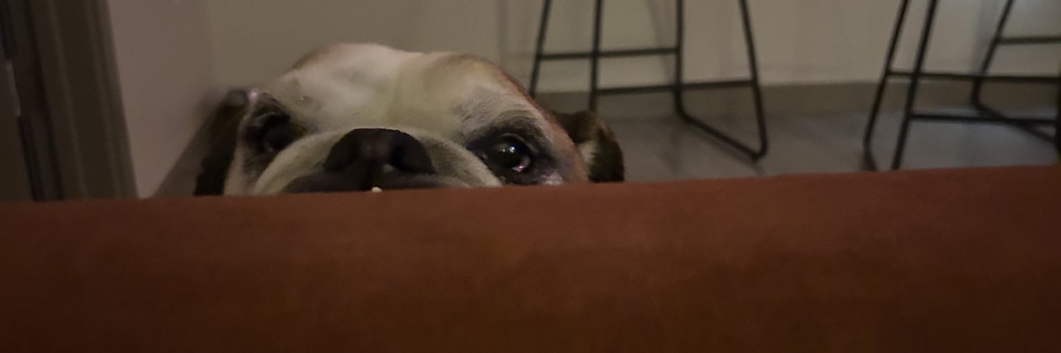 haleynfraser's profile banner image