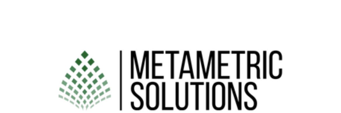 MetaMetric Solutions | metametric.eth banner