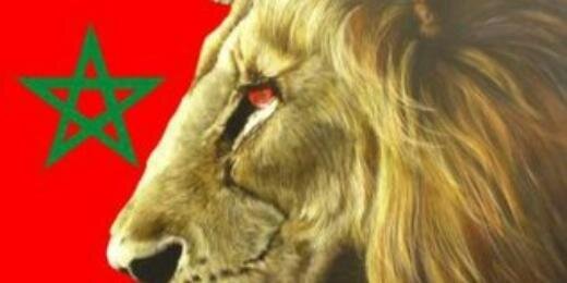 mohammednekrous's profile banner image