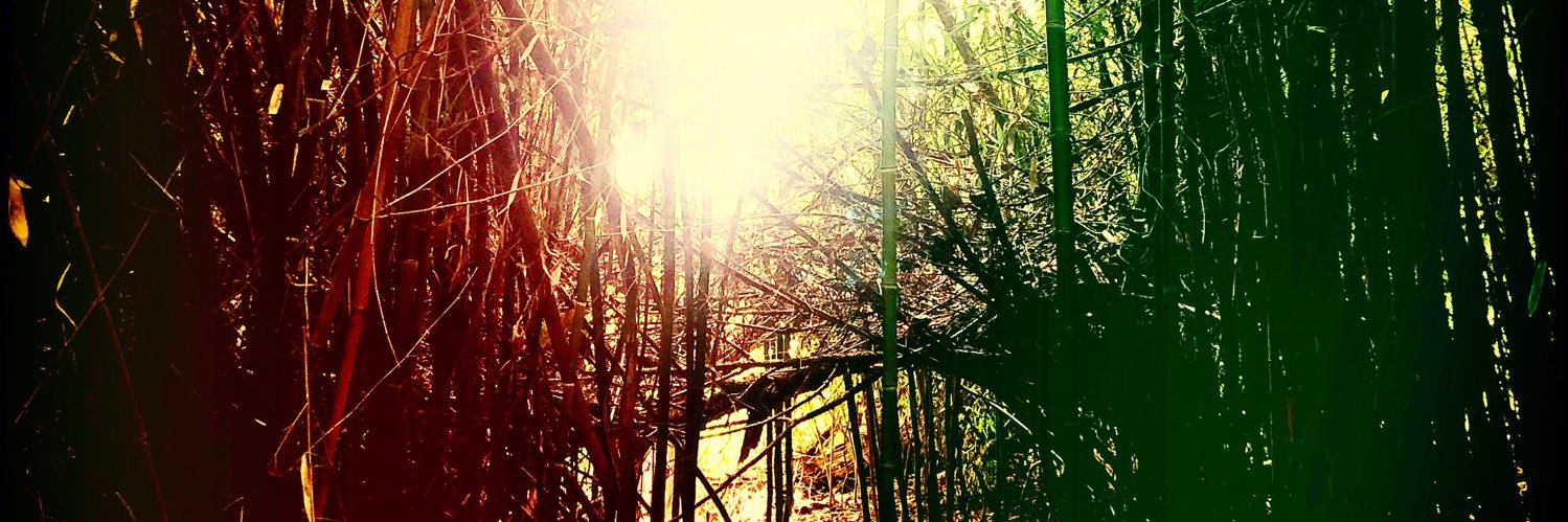 tracetalks's profile banner image