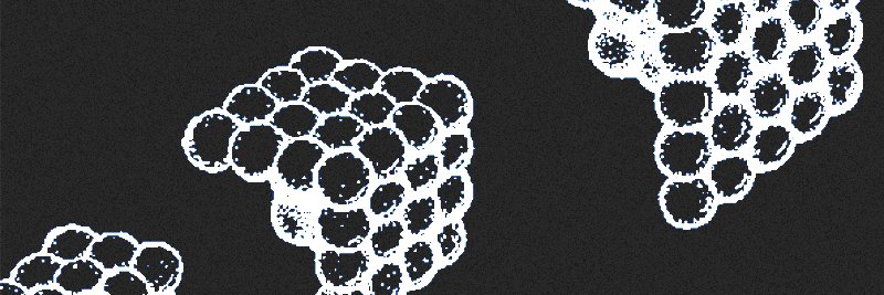 lil_exquisite's profile banner image
