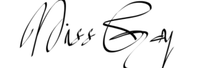 MISS GAY REPUBLIC OF SOUTH AFRICA banner