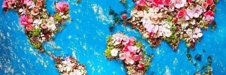 meltems's profile banner image