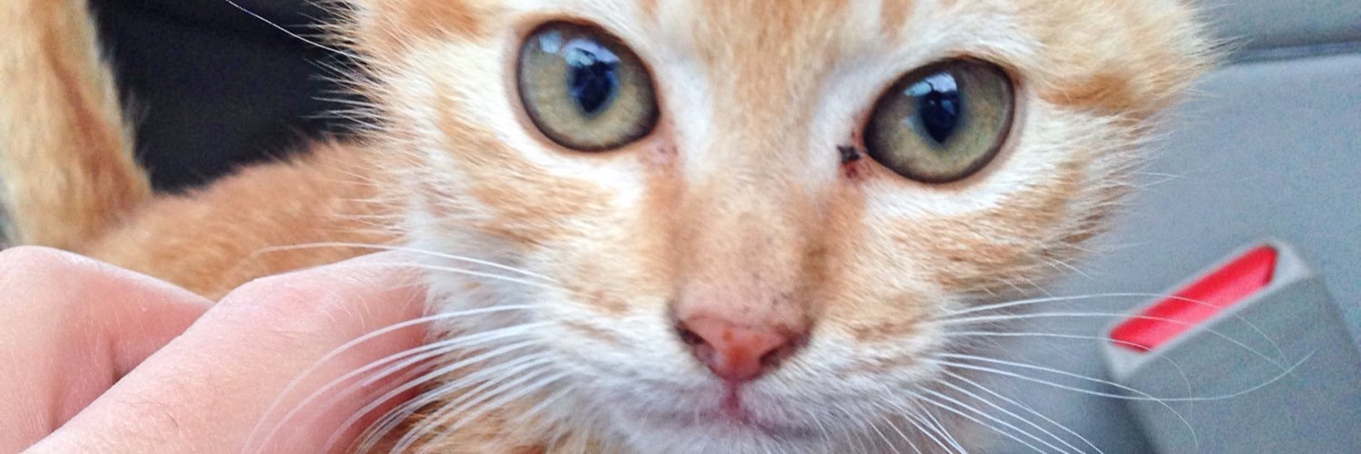 micchy62's profile banner image