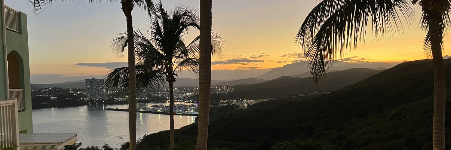 FlyersBirdsPhils banner