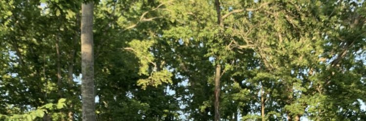 idkselmaa's profile banner image