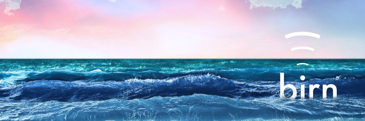 The BIRN banner