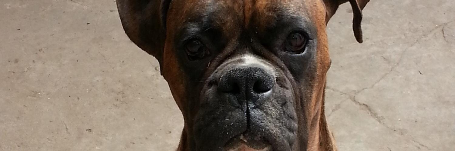 Katedjgsm's profile banner image