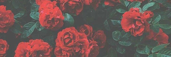 blackmirror099's profile banner image