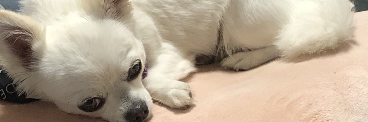 toki103's profile banner image