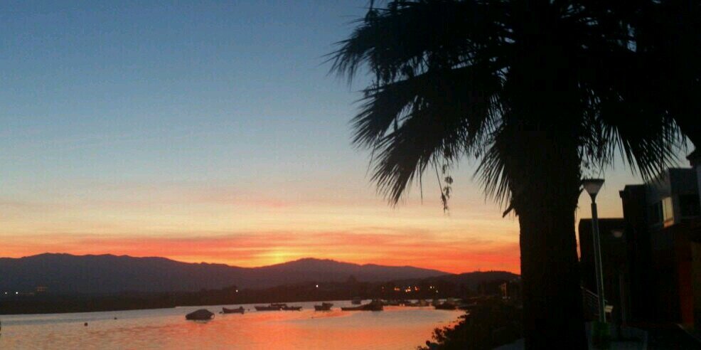 Alexa_beach's profile banner image