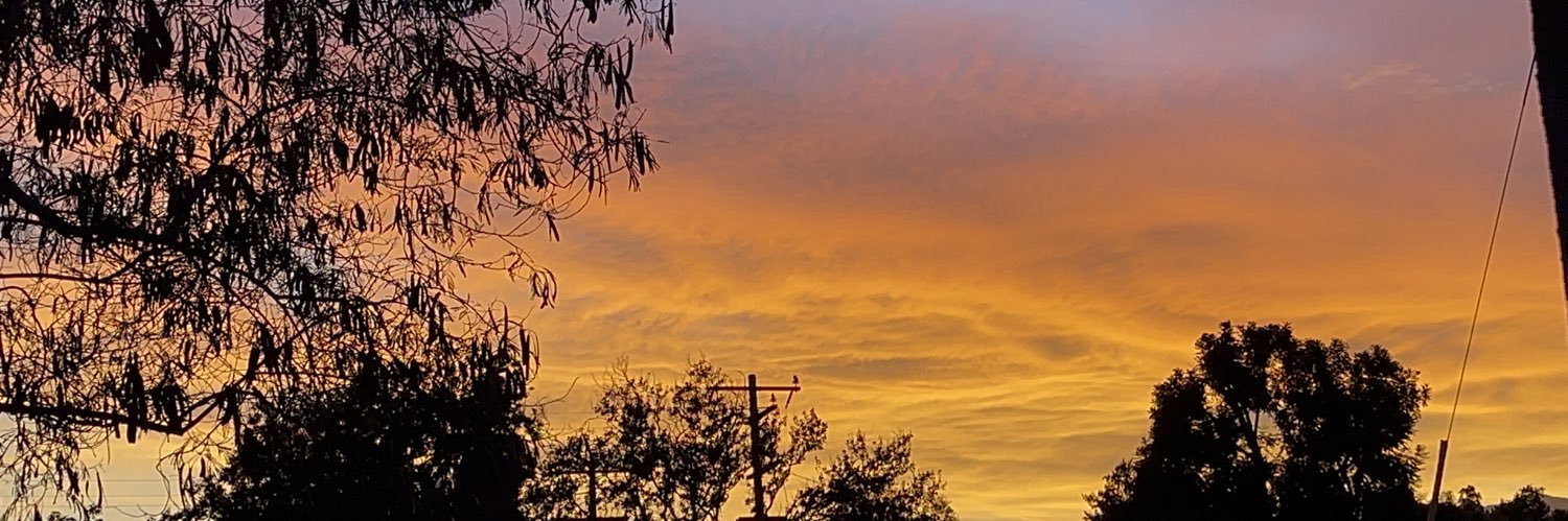 flowerchilldd_'s profile banner image