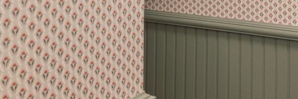 Asari__0325 Profile Banner