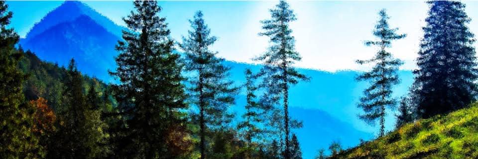morizoyadee's profile banner image