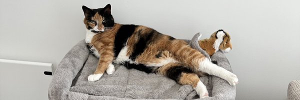 CACoates96 Profile Banner