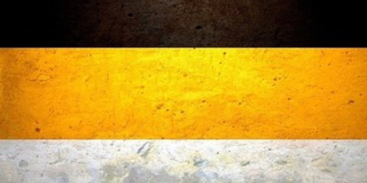borzylua93's profile banner image