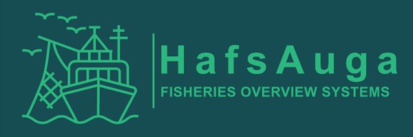 HafsAuga Profile Banner