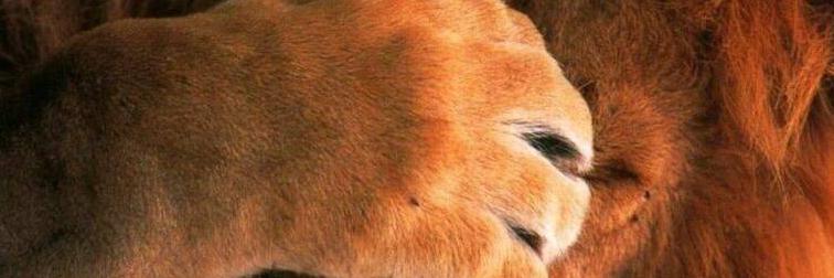 Aztek481's profile banner image