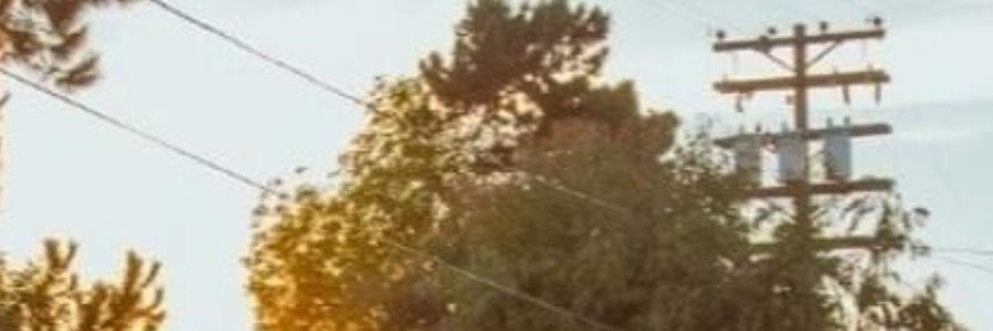 devFLXY's profile banner image
