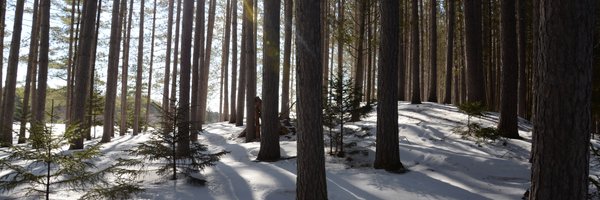 DrSogge Profile Banner