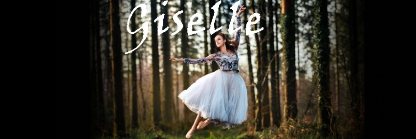 Ballet Cymru banner