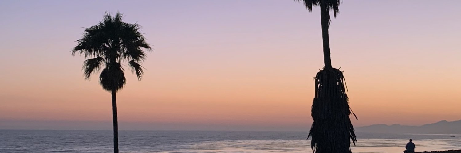 xsinomecres's profile banner image